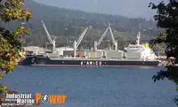 MV Cielo di Capalbio 36.600 dwt - blt 2012 - HMD, S'Korea