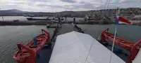 101.5m RoRo Cargo Vessel