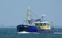 MUSSEL DREDGER