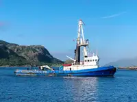 1975 Tug - Single Screw For Sale